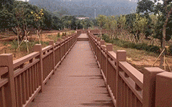 花溪防腐木景观木桥